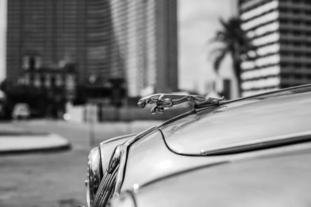 PocketWin Casino App Android/iOS