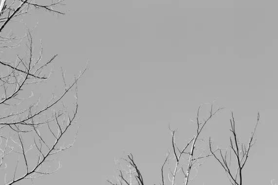 PocketWin Casino Supporto